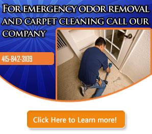 Stain Removal - Carpet Cleaning San Francisco, CA